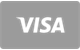 LyraBet Visa payment